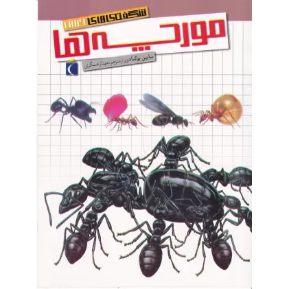 کتاب شگفتی‌های جهان: مورچه‌ها
