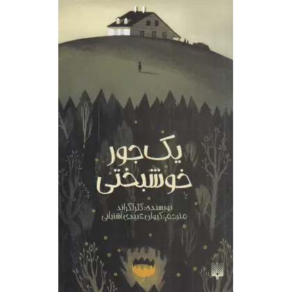 کتاب یک‌جور خوشبختی