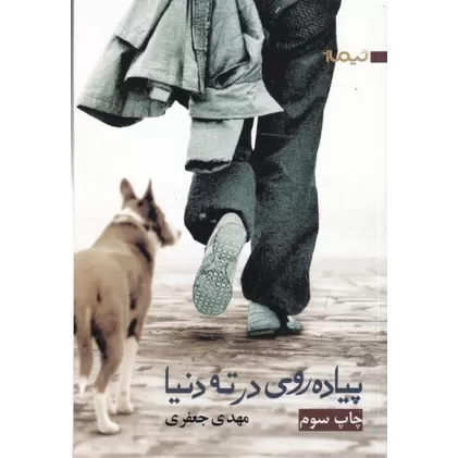 کتاب پیاده‌روی در ته دنیا