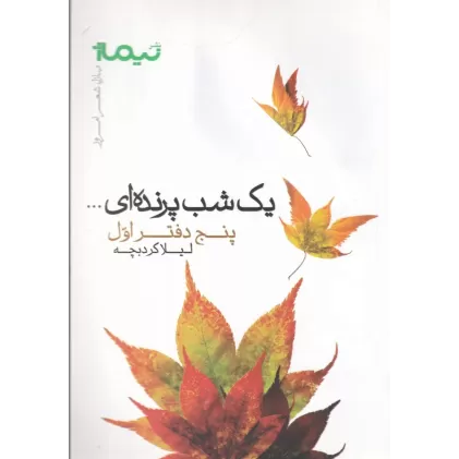 پازل شعر امروز: یک شب پرنده‌ای (پنج دفتر اول)