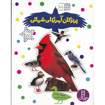 کتاب بچسبان و بیاموز 18: پرندگان آمریکای شمالی