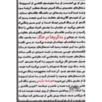 کتاب و نه کرم در خاک