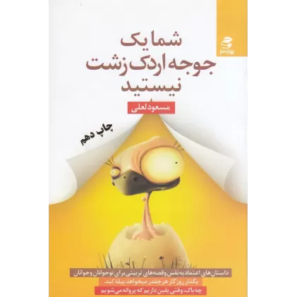 کتاب شما یک جوجه اردک زشت نیستید