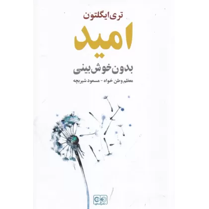 کتاب امید بدون خوش‌بینی