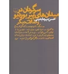 کتاب سرگردان در میدان‌های پیر بوردیو و مقالات دیگر