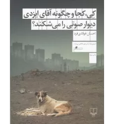کتاب کی، کجا و چگونه آقای ایزدی دیوار صوتی را می‌شکند؟