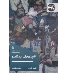 کتاب آشپزی برای پیکاسو