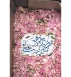 کتاب مرلین مونرو غمگین نیست