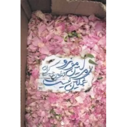 کتاب مرلین مونرو غمگین نیست