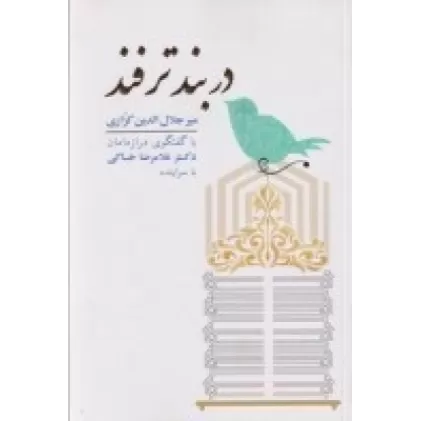 کتاب در بند ترفند: با گفت‌و‌گوی درازدامان دکتر غلامرضا خاکی با سراینده
