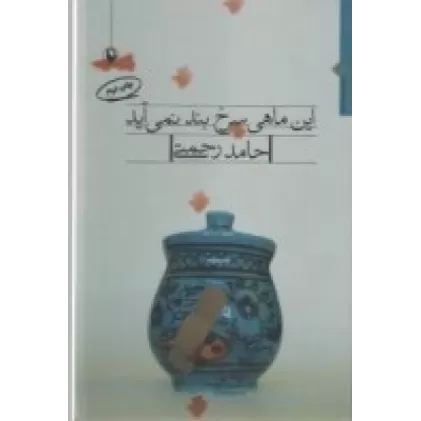 کتاب این ماهی سرخ بند نمی‌آید