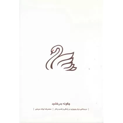 کتاب چگونه بدرخشید: درس‌هایی برای پیروزی در زندگی و کسب و کار