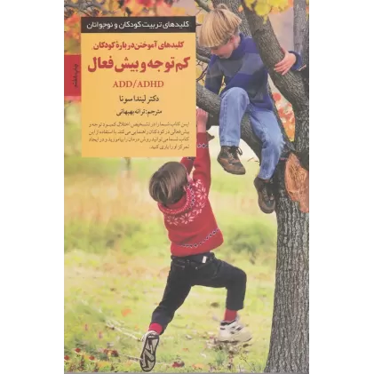 کتاب کلیدهای آموختن درباره کودکان کم‌توجه و بیش‌فعال