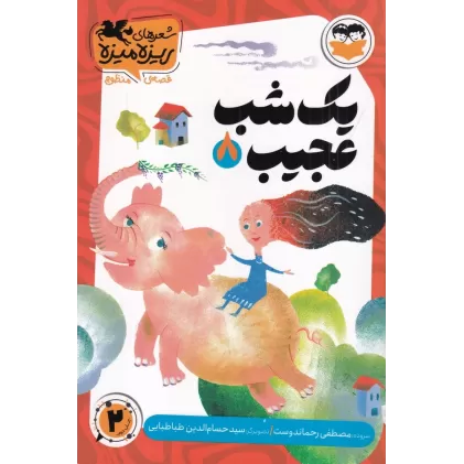کتاب شعرهای ریزه میزه قصه‌ی منظوم 8: یک شب عجیب