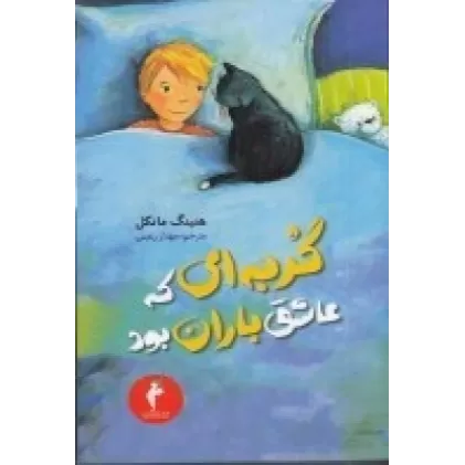 کتاب گربه‌ای که عاشق باران بود