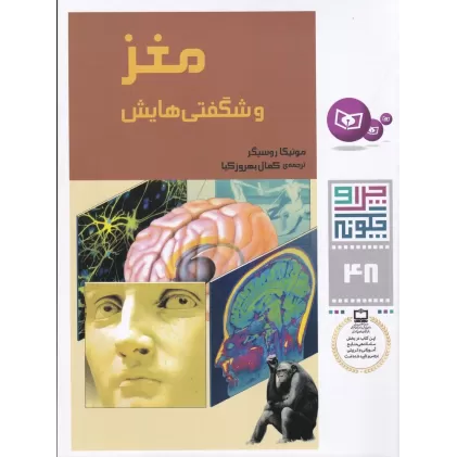 کتاب چرا و چگونه 48: مغز و شگفتی‌هایش