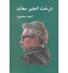 کتاب درخت انجیر معابد (2 جلدی)