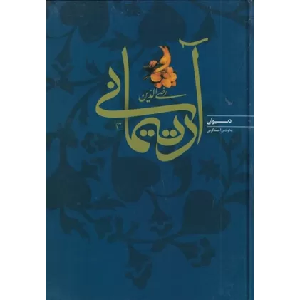 کتاب دیوان رضی الدین آرتیمانی