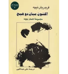 کتاب اکنون میان دو هیچ: مجموعه‌ی اشعار نیچه