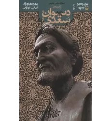 کتاب متون کهن ادبیات (گزیده ی دیوان سعدی)