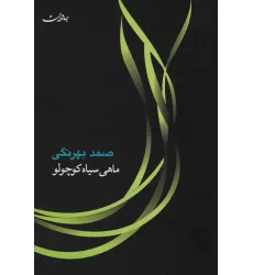 کتاب ماهی سیاه کوچولو (مجموعه آثار 5)