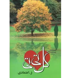 کتاب گل تی تی