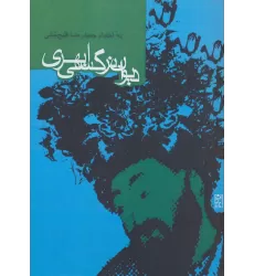 کتاب دیوان نرگسی ابهری
