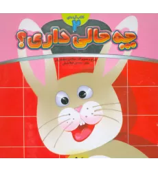 کتاب آینه ای 2 (چه حالی داری؟:خرگوش)