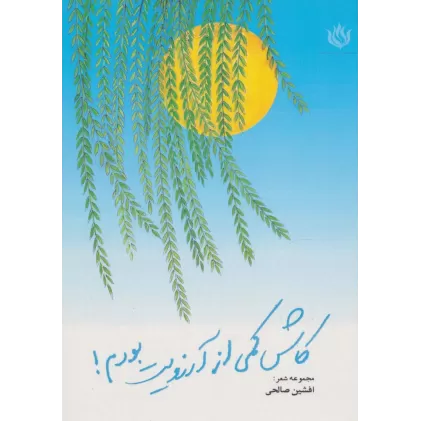 کتاب کاش کمی از آرزویت بودم! (مجموعه شعر)