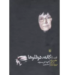 کتاب مجموعه سه گانه ی دوقلوها (3جلدی،باقاب)