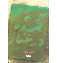 کتاب گمشده در غبار