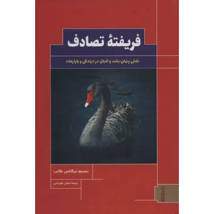 کتاب فریفته تصادف (نقش پنهان بخت و اقبال در «زندگی و بازارها»)