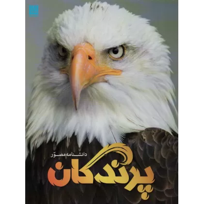 کتاب دانشنامه مصور پرندگان