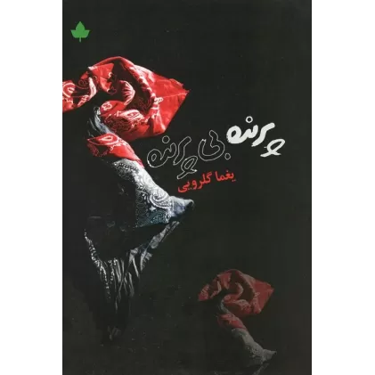کتاب پرنده بی پرنده (همراه با سی دی)