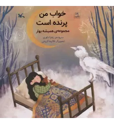 کتاب خواب من پرنده است (مجموعه ی همیشه بهار)،(گلاسه)