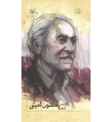 کتاب گزیده شعر مفتون امینی