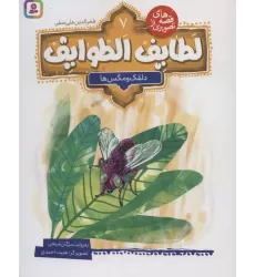 کتاب قصه های تصویری از لطایف الطوایف 7 (دلقک و مگس ها)،(گلاسه)