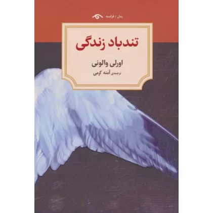 کتاب تندباد زندگی
