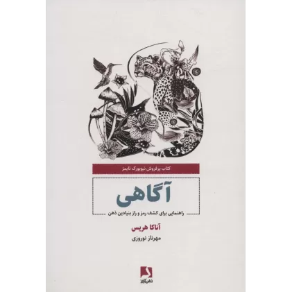 کتاب آگاهی (راهنمایی برای کشف رمز و راز بنیادین ذهن)