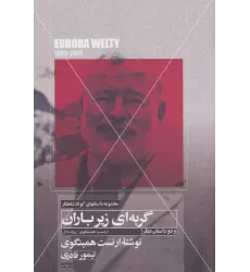کتاب گربه ای زیر باران و دو داستان دیگر (داستانهای کوتاه شاهکار 6)