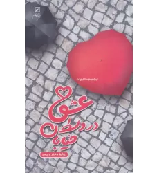 کتاب عشق در وسط خیابان (روابط دختر و پسر)
