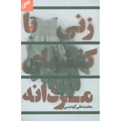 کتاب زنی با کفشهای مردانه