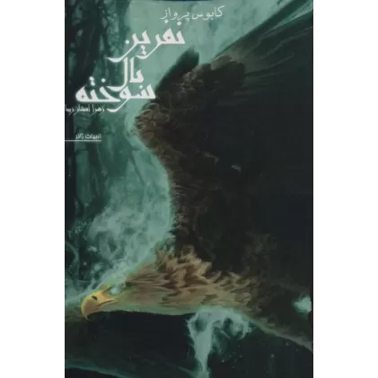 کتاب نفرین بال سوخته 1 (کابوس پرواز)