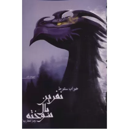 کتاب نفرین بال سوخته 2 (خواب سقوط)