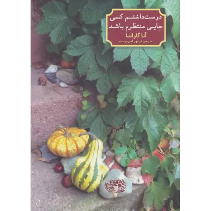 کتاب دوست داشتم کسی جایی منتظرم باشد