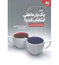 کتاب چطور یک یار عاطفی انتخاب کنم؟ (راهنمای جامع در انتخاب روابط عاطفی)