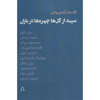 کتاب سپیده از گل ها چهره ها در باران (ادبیات،هنر و اندیشه102)