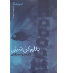 کتاب بغلم کن شبلی (پازل شعر امروز)
