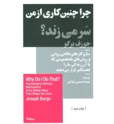 کتاب چرا چنین کاری از من سر می زند؟