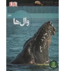 کتاب وال ها (شاهد عینی)،(گلاسه)